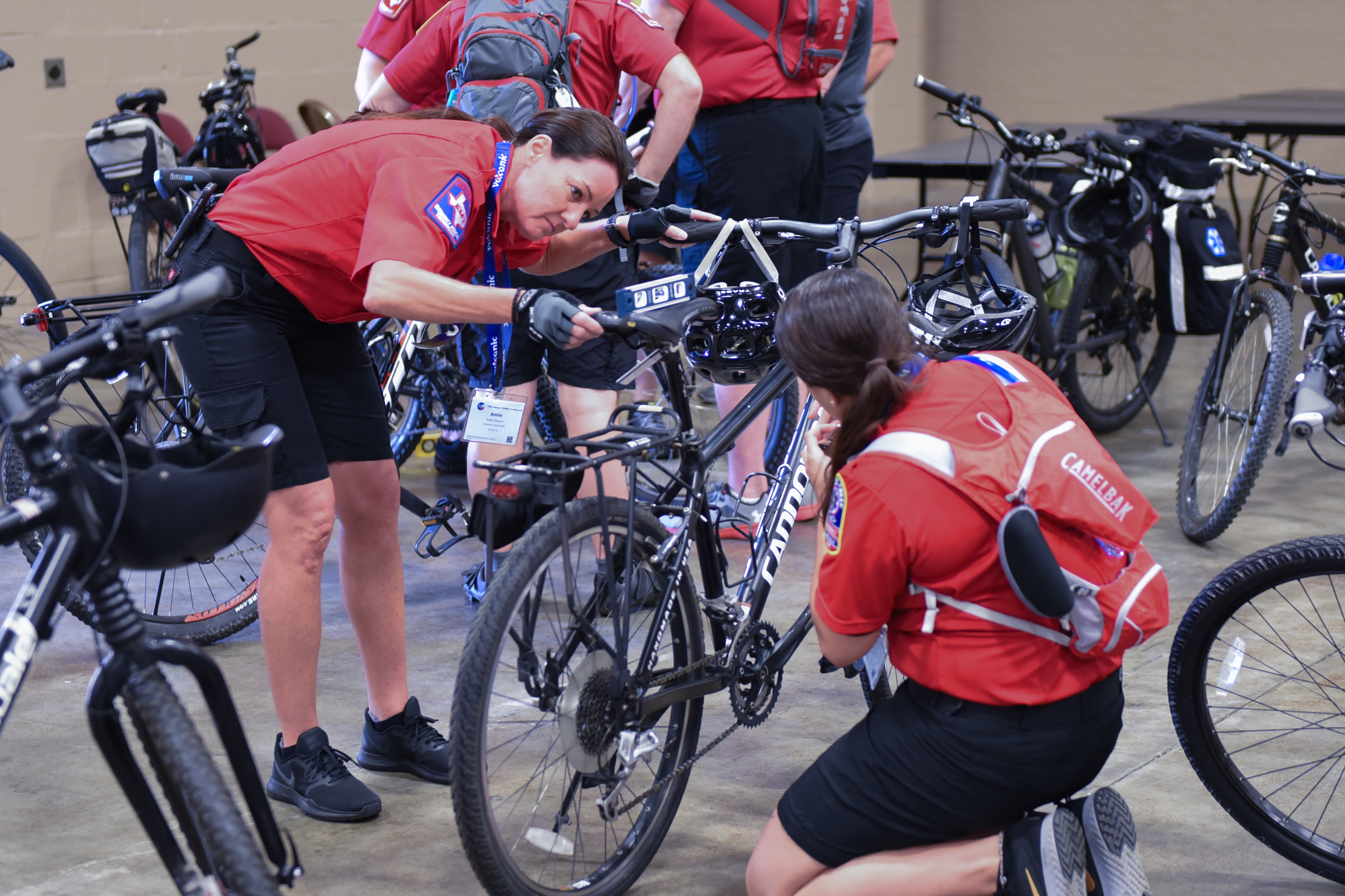 When it Comes to Tulips, It’s Not All Roses Part II:&nbsp; Women’s Saddle Pain