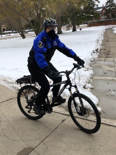 Winter: Time to Harness Your Inner Dire Wolf *