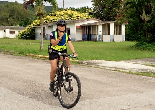 Best Sunshine partners with DPS to revive Tourism Oriented Policing Section