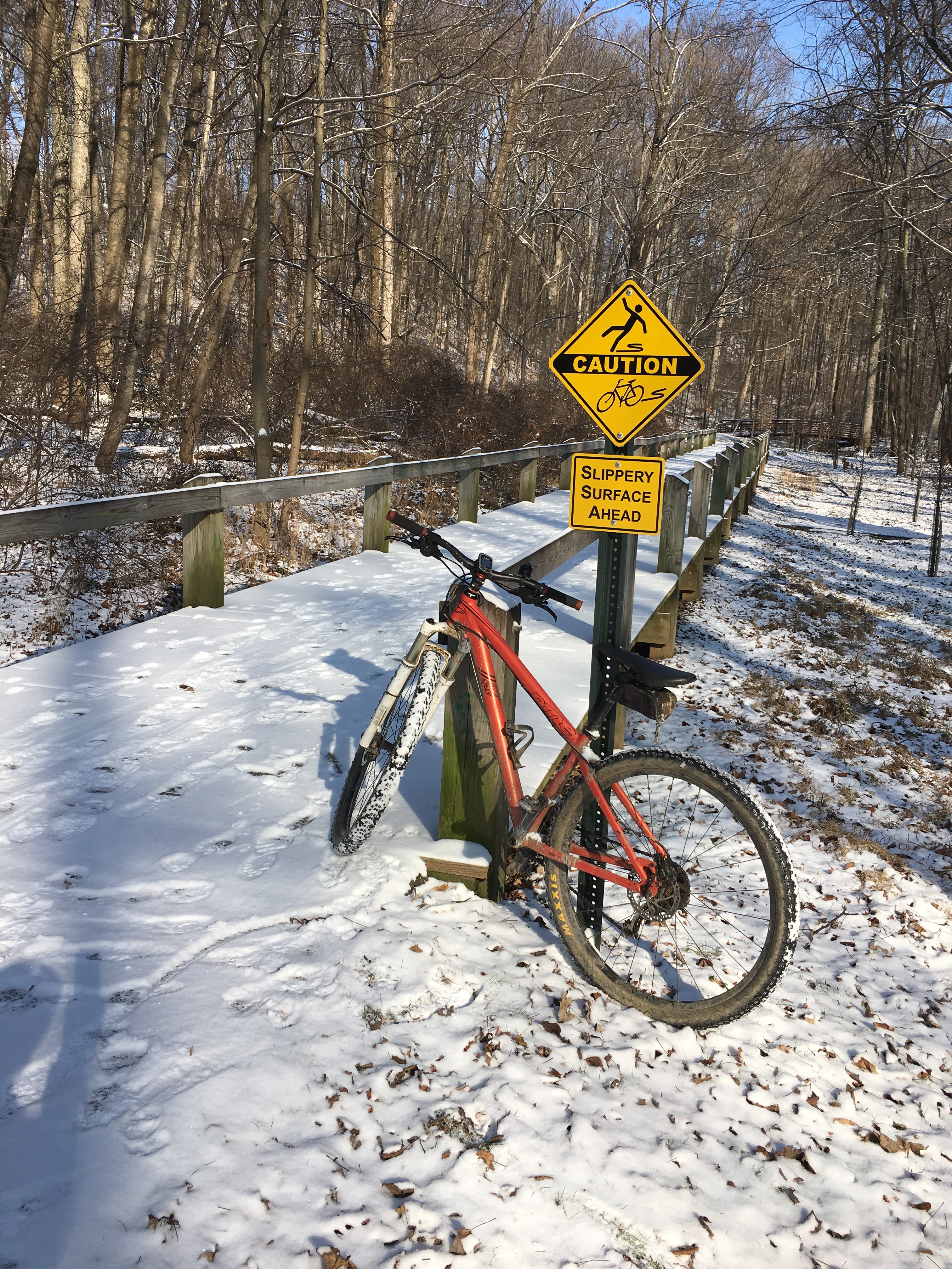Riding in a  Winter Wonderland